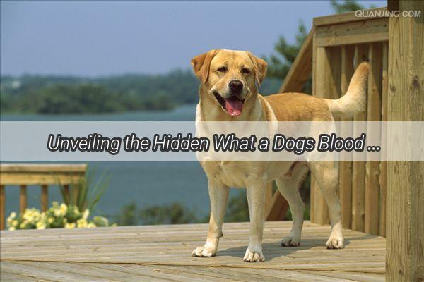 Unveiling the Hidden What a Dogs Blood Smear Can Reveal About Their Health